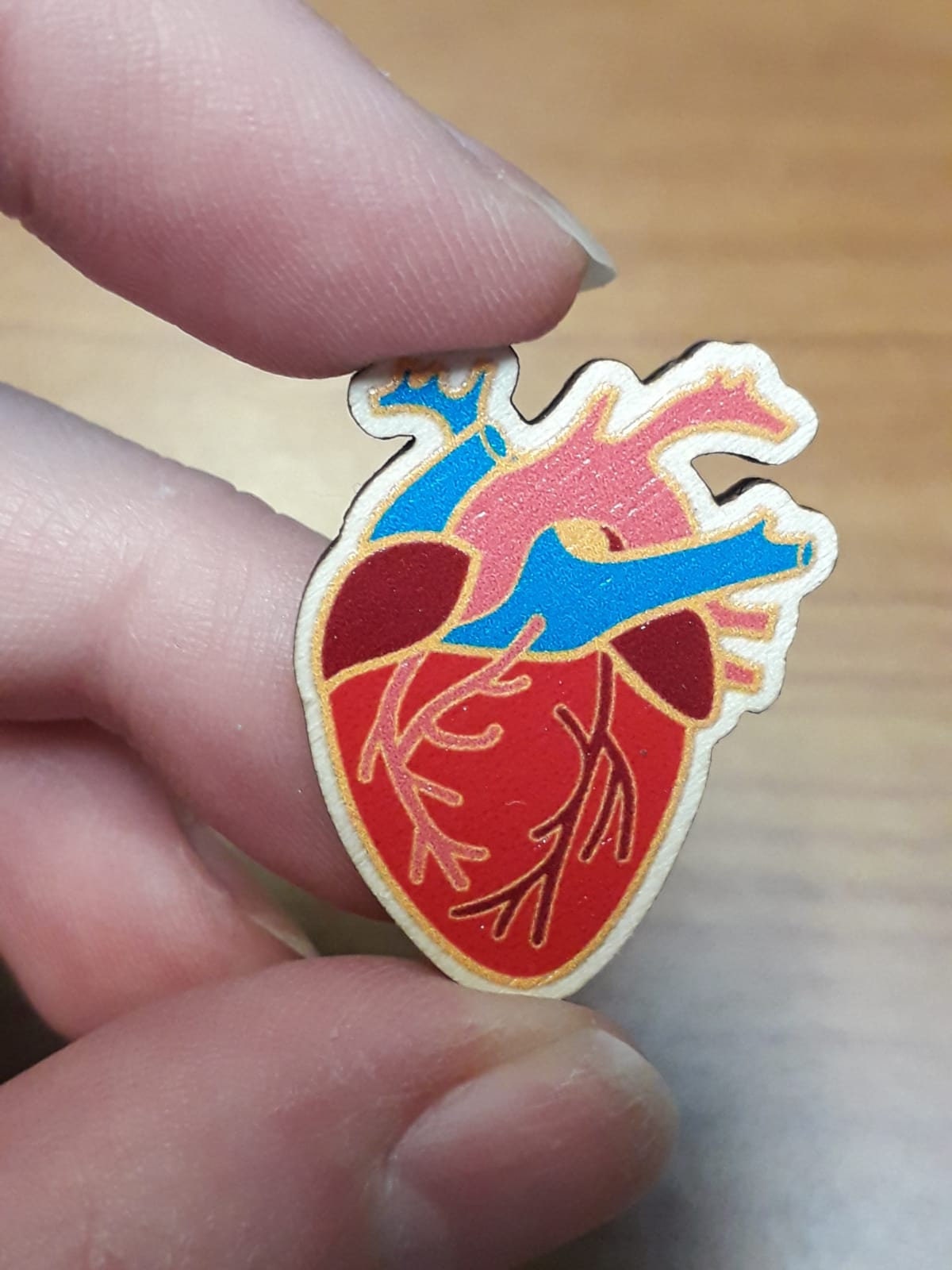 Anatomical heart and brain wooden pin badges or stickers. Pin Display/Set/Clothing Accessories also in mini size and rainbow neurodivergent.