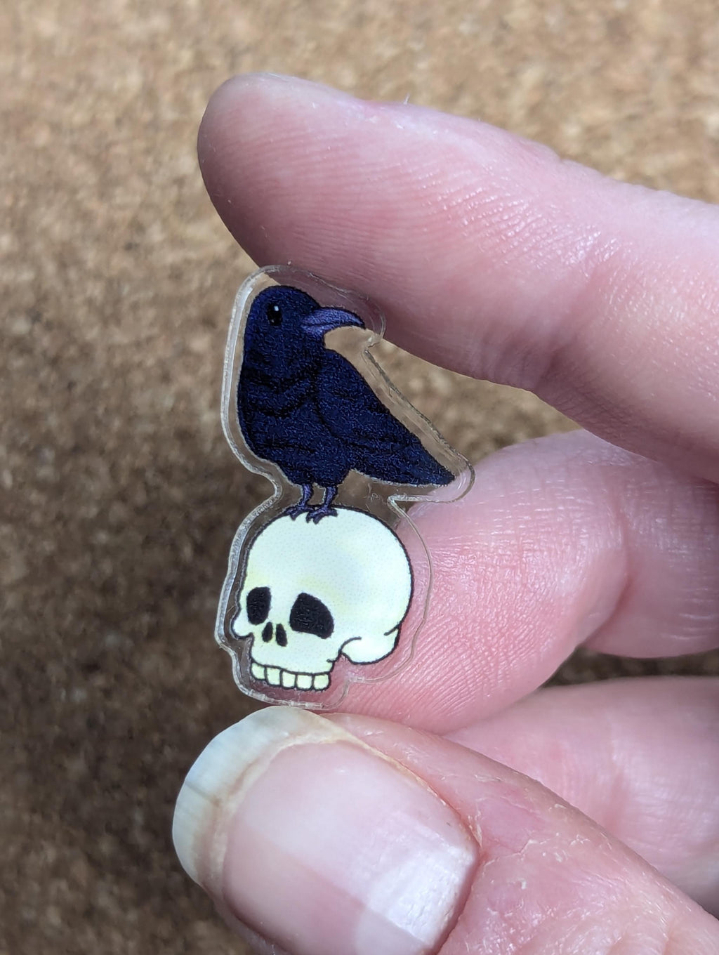 Raven and skull, acrylic or wooden pins, Cute little raven or crow wooden pin or raven acrylic lapel pin