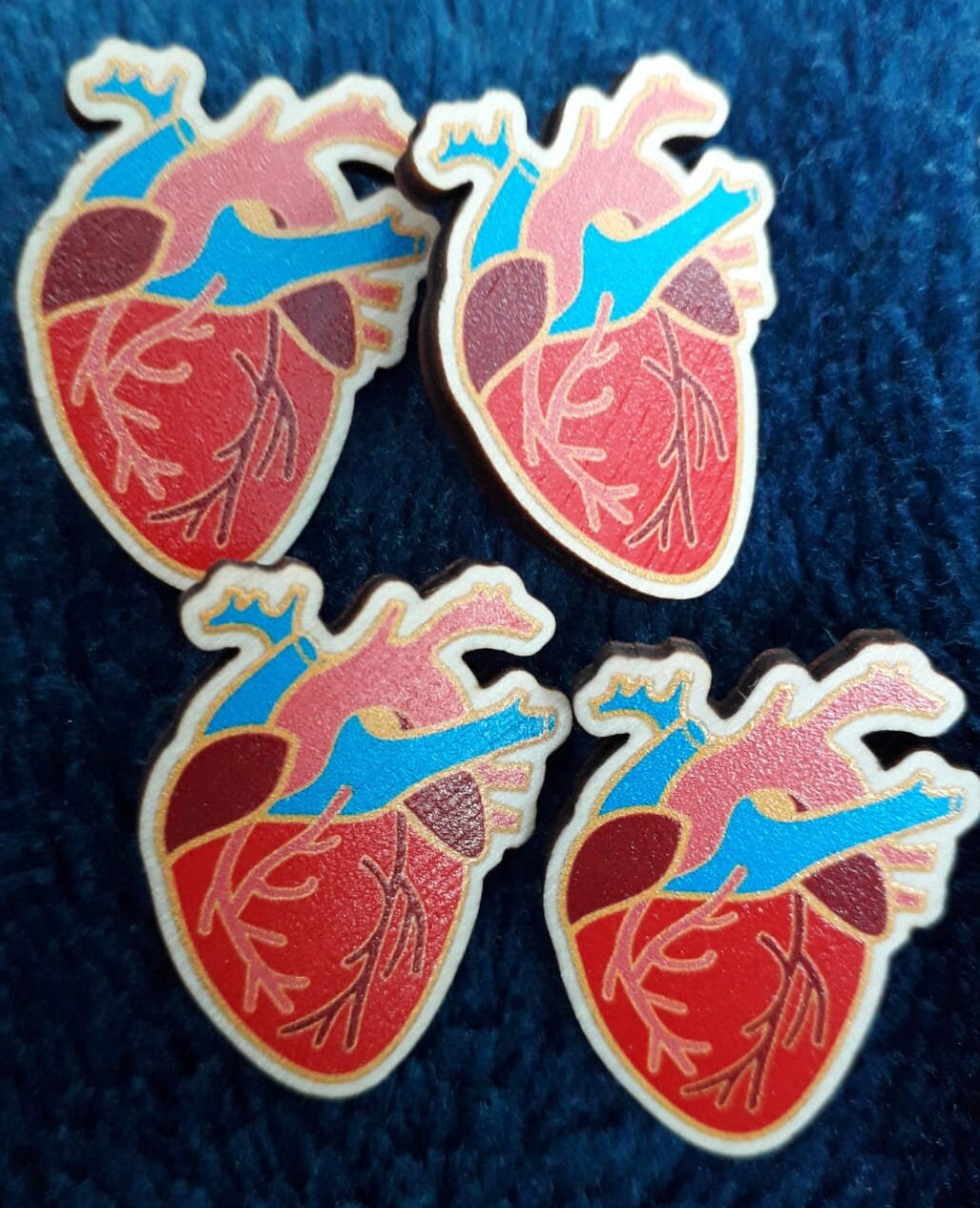 Anatomical heart and brain wooden pin badges or stickers. Pin Display/Set/Clothing Accessories also in mini size and rainbow neurodivergent.