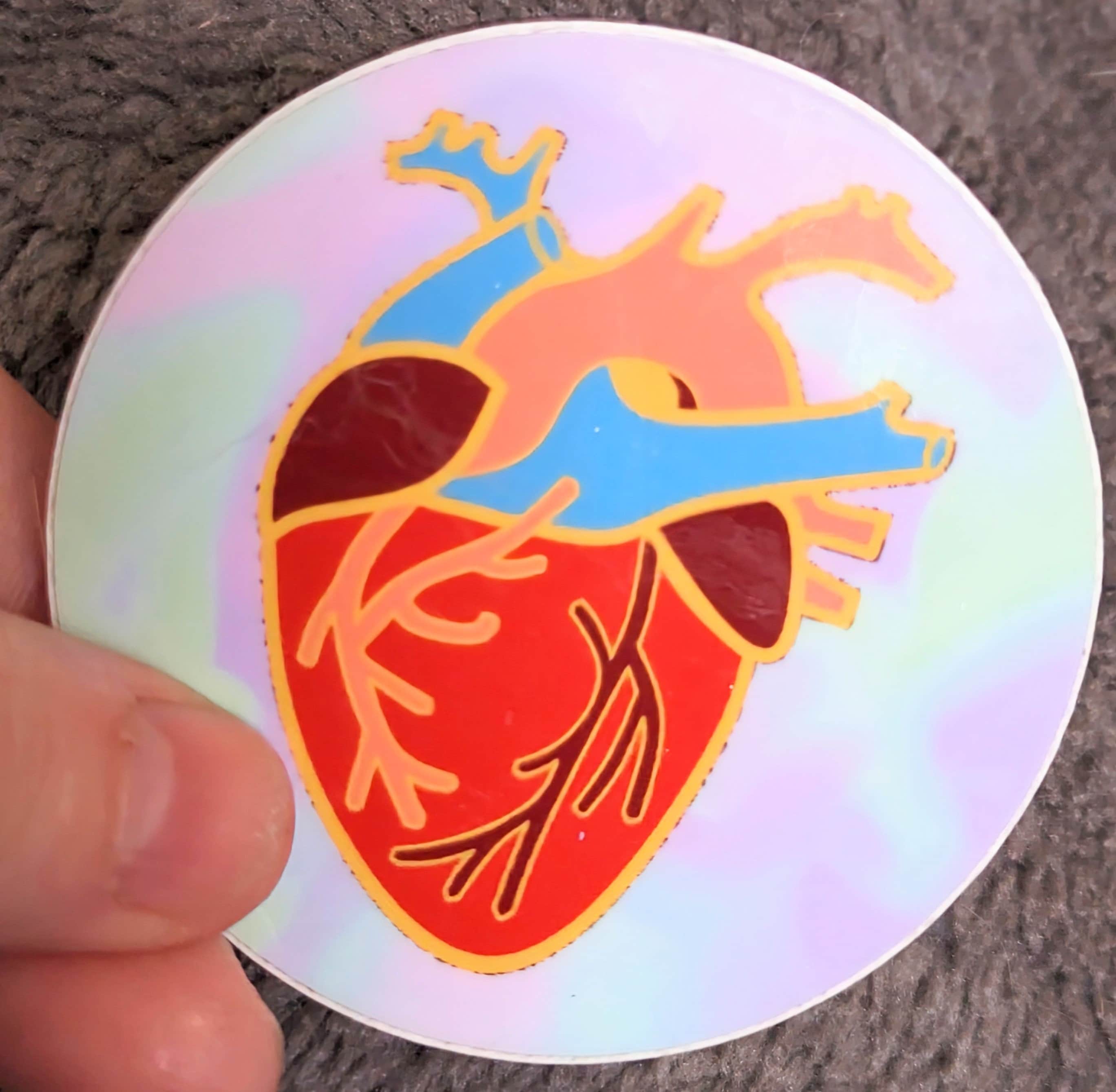 Anatomical heart and brain wooden pin badges or stickers. Pin Display/Set/Clothing Accessories also in mini size and rainbow neurodivergent.
