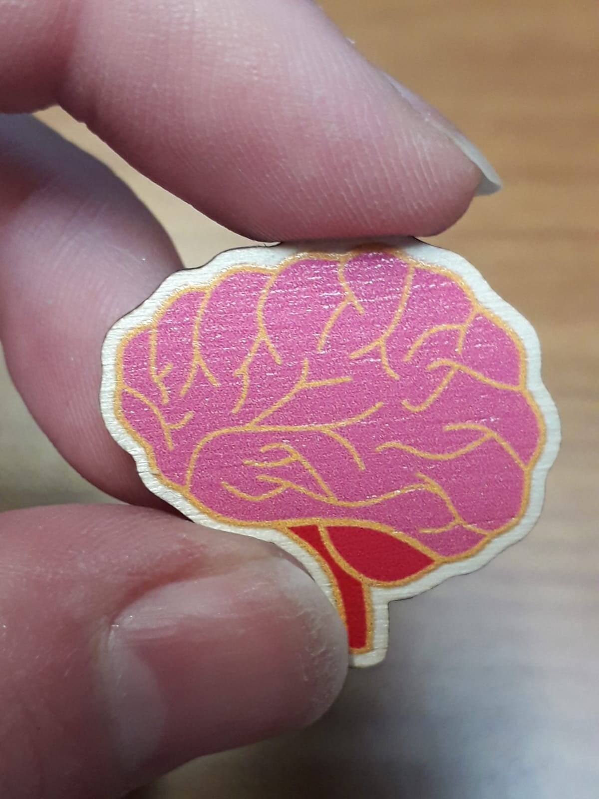 Anatomical heart and brain wooden pin badges or stickers. Pin Display/Set/Clothing Accessories also in mini size and rainbow neurodivergent.