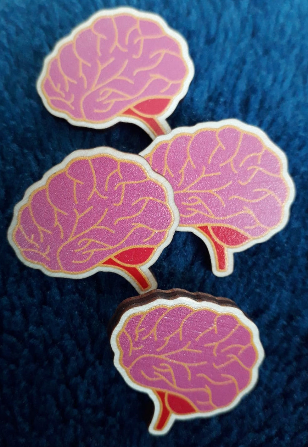 Anatomical heart and brain wooden pin badges or stickers. Pin Display/Set/Clothing Accessories also in mini size and rainbow neurodivergent.