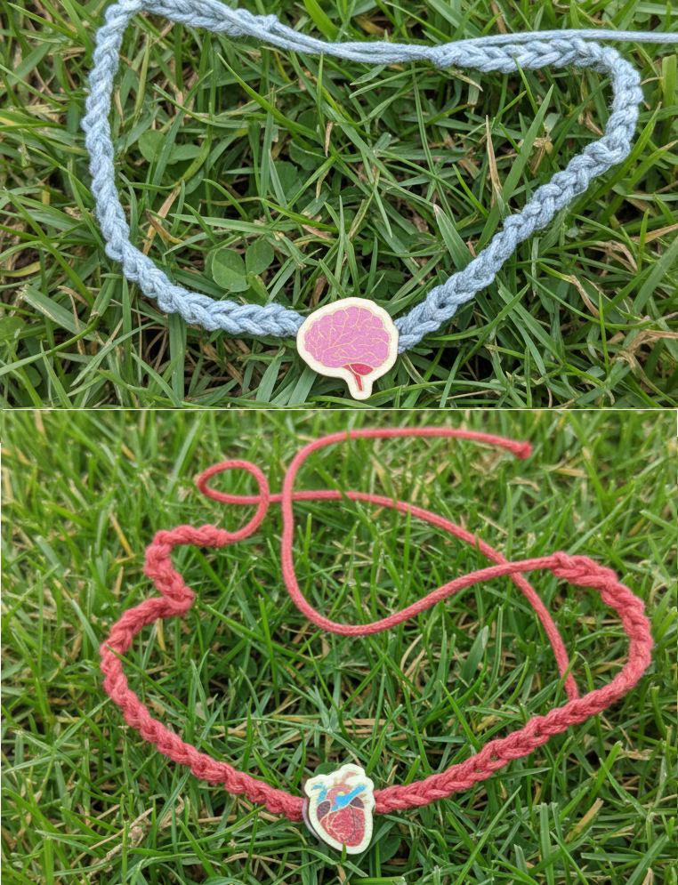 Anatomical heart & brain charms - wooden charm bracelets, friendship bracelet, waxed cord,